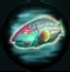 File:Parrot Fish.JPG