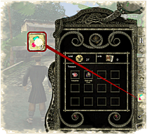 Sea Chest 6