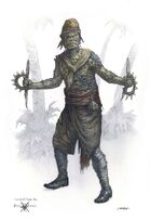 Hadrasarte
