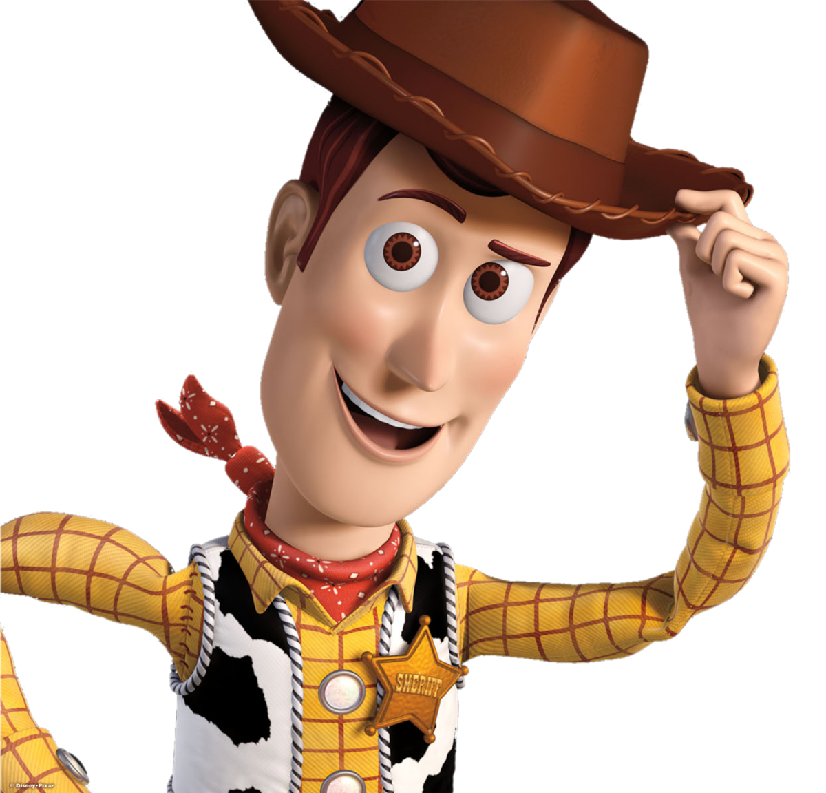 Woody Wiki Pixar FANDOM powered by Wikia