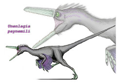 File:2368811922 0528588420 m.jpg