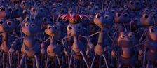 Ants