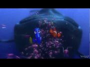Finding nemo krill