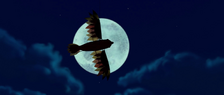 Bird Fake