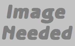 File:Image Needed.png