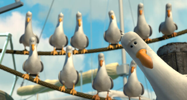 File:Seagulls.jpg
