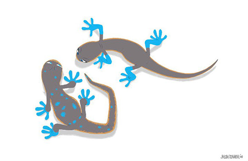 File:Jason deamer newt 08.jpg