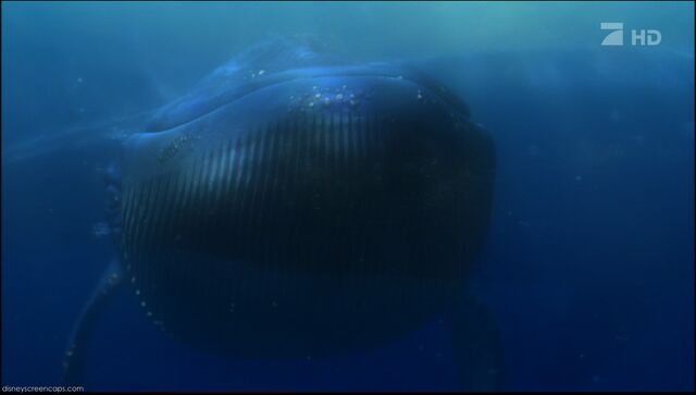 File:Nemo-disneyscreencaps.com-7218.jpg