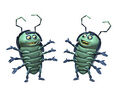 Thumbnail for version as of 01:19, October 31, 2007