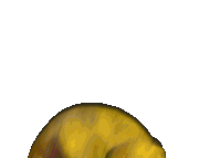 ChicaJumpscare.gif