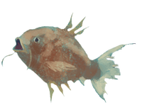 Magikarp Realistico