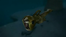 Squid.png