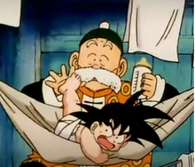 Dziadek gohan