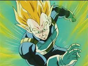 Vegeta Fiury.png