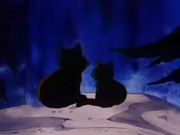 1000px-Cats