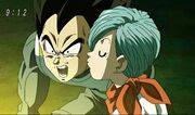 Bulma-Vegeta.jpg