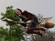 Lotnamiotle.jpg