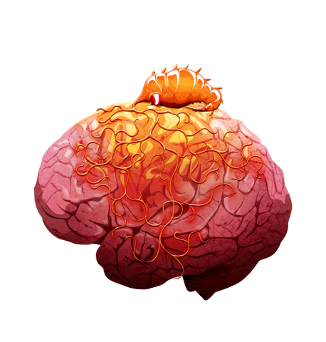 File:Brain 04 off@2x.png