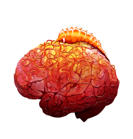 File:Brain 05 off@2x.png