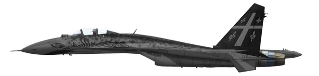File:Flanker resized01.png
