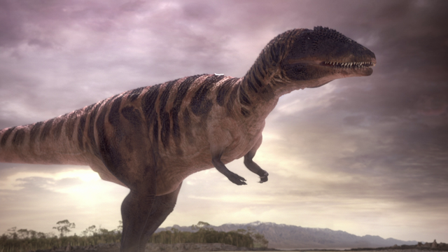File:CarcharodontosaurusInfobox.png