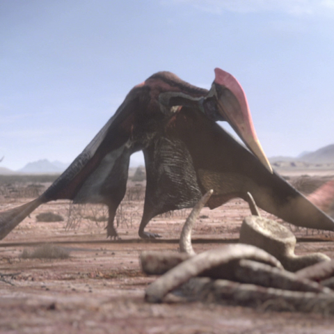 File:AfricanPterosaurPortrait.png