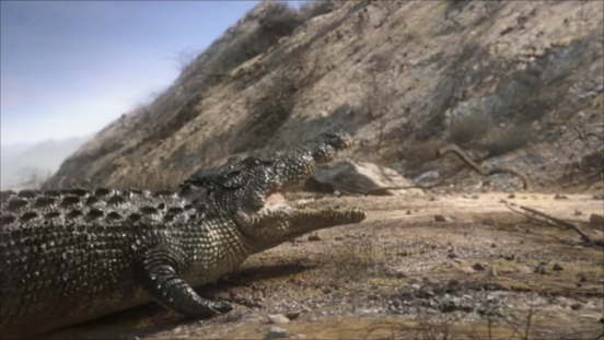File:Crocodile3.png