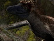 microraptor planet dinosaur