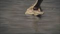 Thumbnail for version as of 06:31, April 19, 2013
