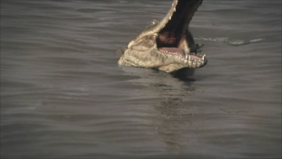 File:Sarcosuchus2.png