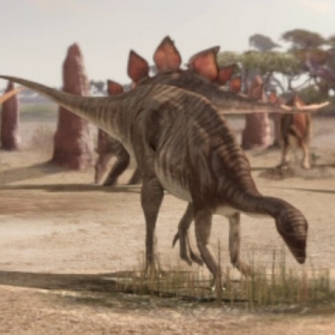 File:CamptosaurusPortrait.png
