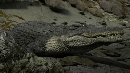 File:Crocodile.png