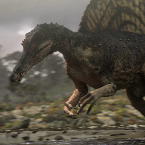 File:SpinosaurusPortrait.png