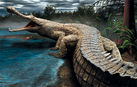Supercroc