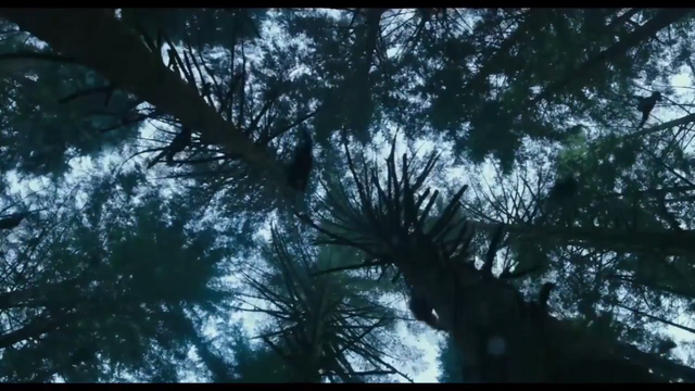 File:Apes 4.png