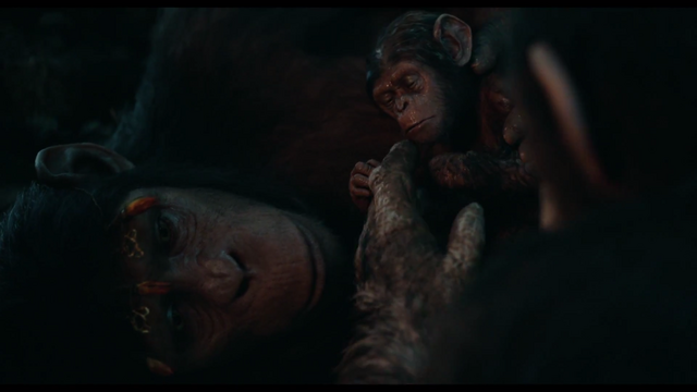 File:Milo's birth 4.png