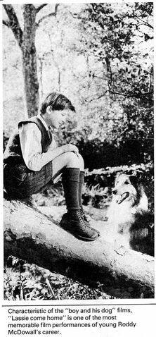 File:Roddy4.jpg