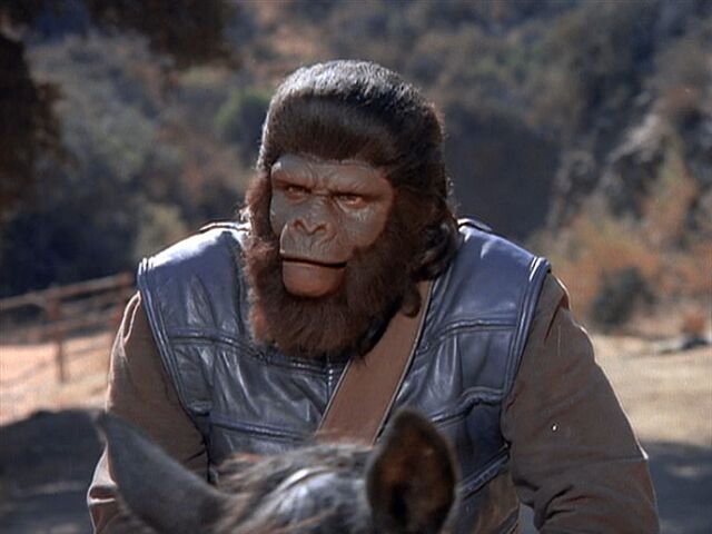File:First gorilla guard.jpg