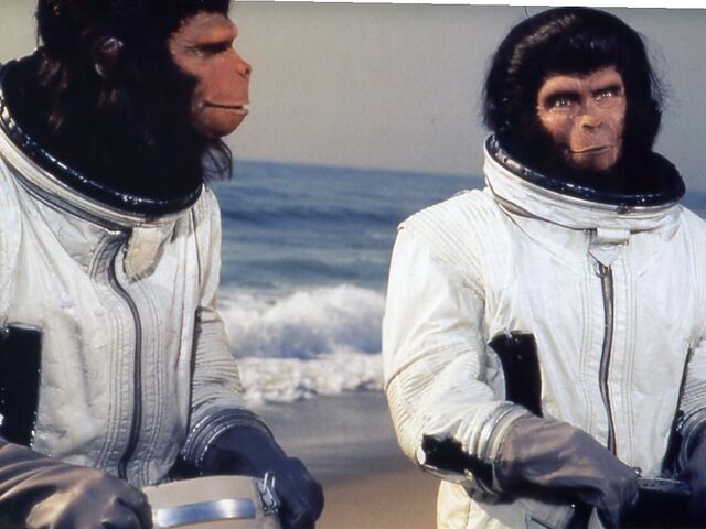 File:Apeonauts2.jpg