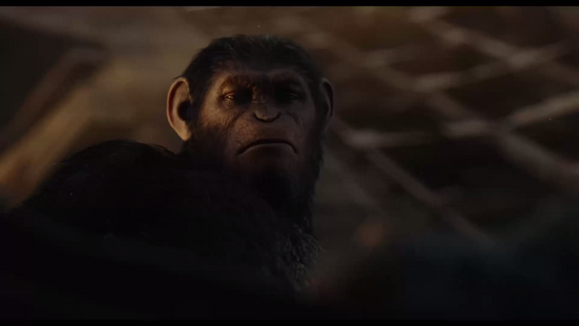 File:Caesar looks down on Koba.png