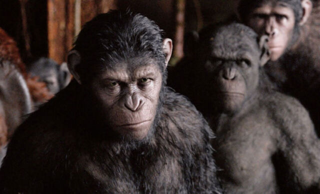 File:Dawn-of-the-planet-of-the-apes-ew-1.jpg