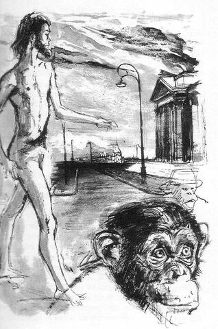 File:71singes13.jpg
