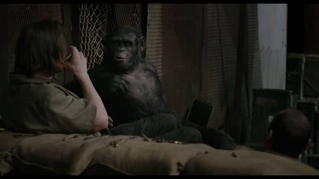 File:Koba amuses humans 3.png