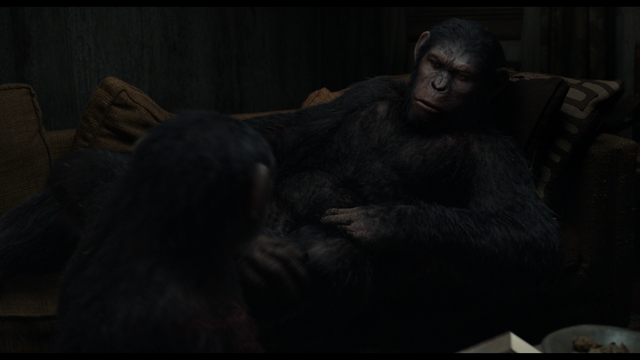 File:Caesar & Blue Eyes at Will's house.png