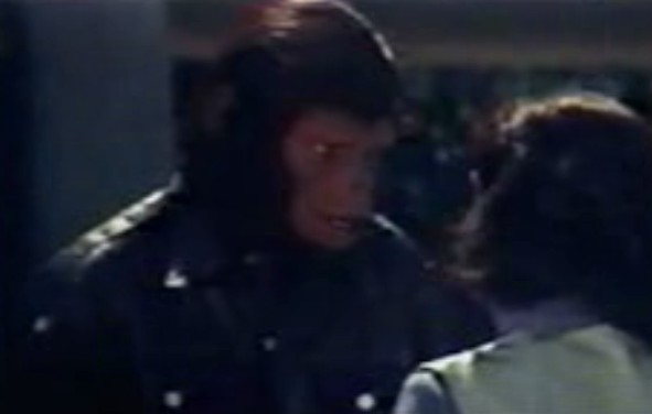 File:Salbill.jpg