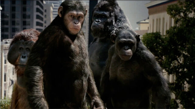 File:EvolvedApesBreed.jpg