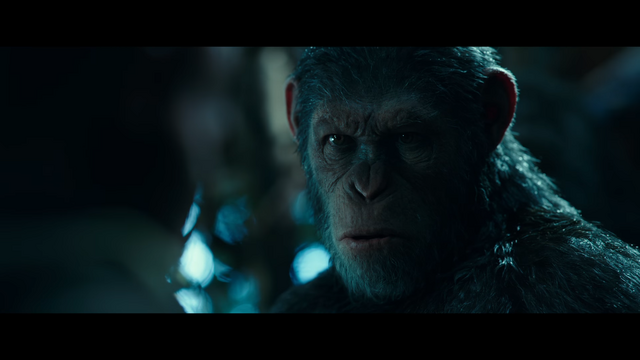 File:WPOTA Caesar 4.png