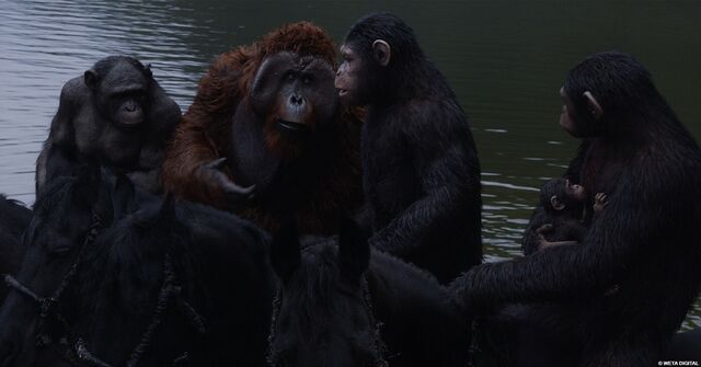 File:Caesar,Maurice,Rocket,Blue Eyes,and Milo.jpeg