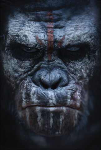 File:Poster 02.jpg