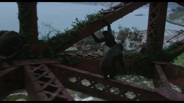 File:Apes travel through Golden Gate Bridge.png